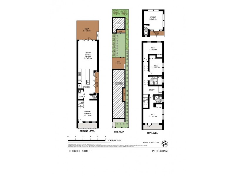 19 Bishop Street, Petersham NSW 2049 Floorplan