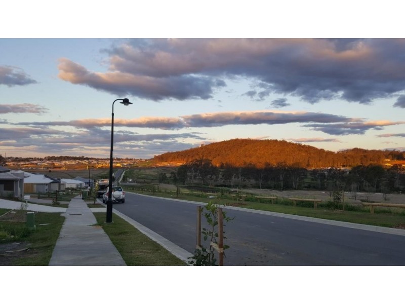 37 Reedy Crescent, Redbank Plains QLD 4301