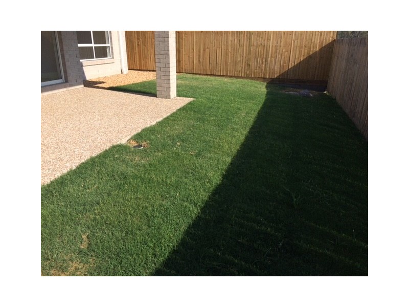 5 White Rock Drive, Redbank Plains QLD 4301