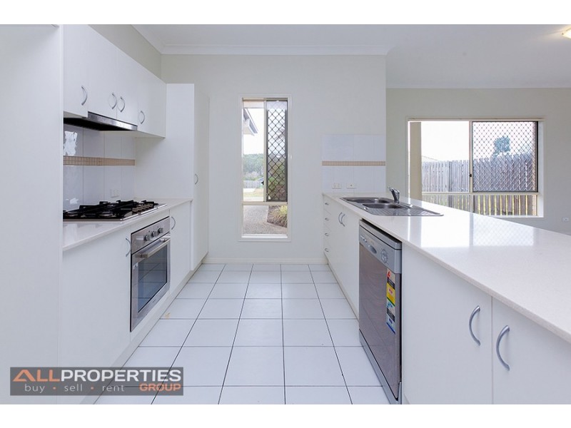 19 Raleigh Place, Redbank Plains QLD 4301