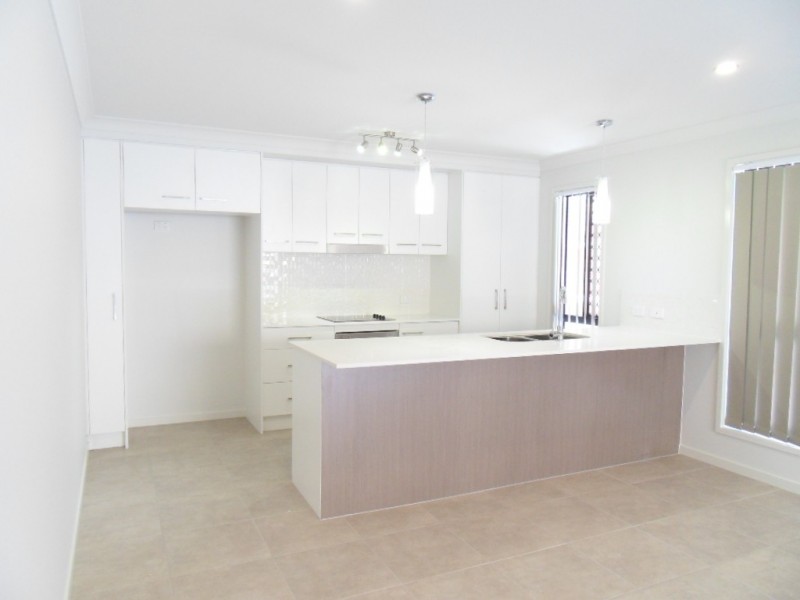 25 Horizon Drive, Springfield Lakes QLD 4300