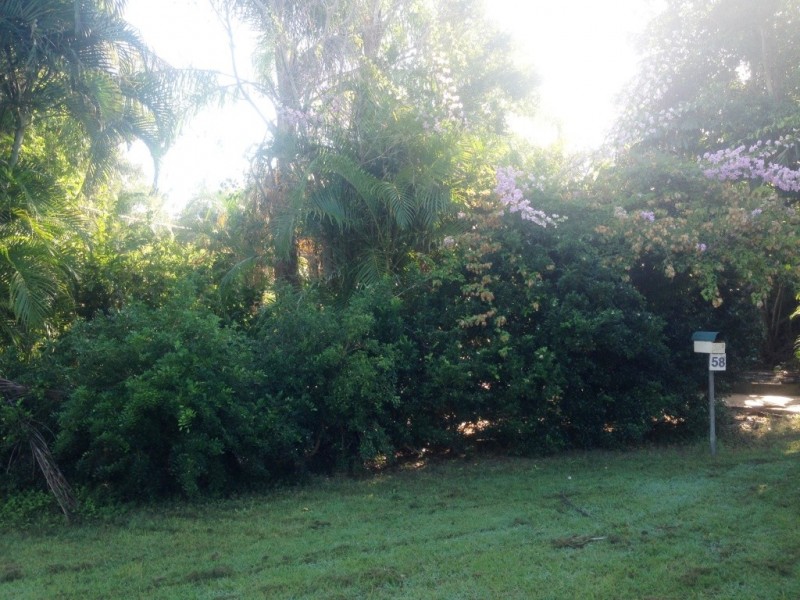 58 Kertes Road, Camira QLD 4300