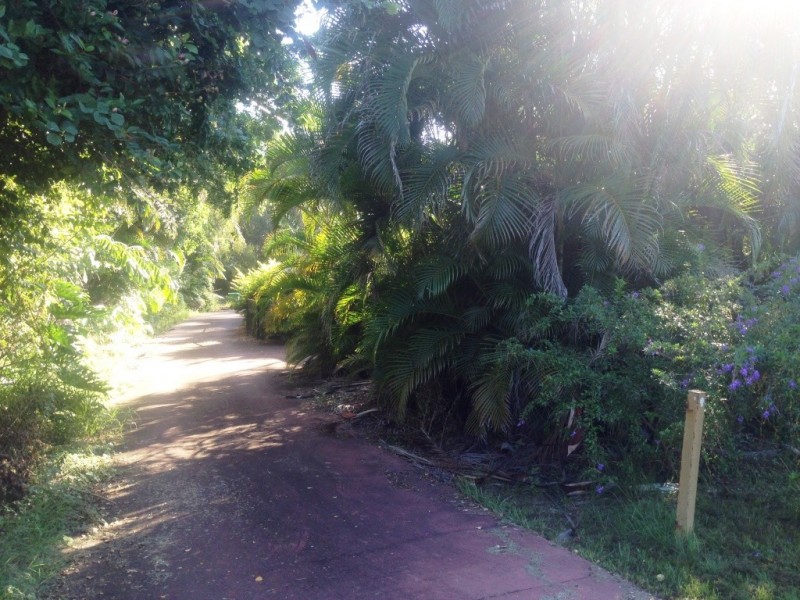 58 Kertes Road, Camira QLD 4300