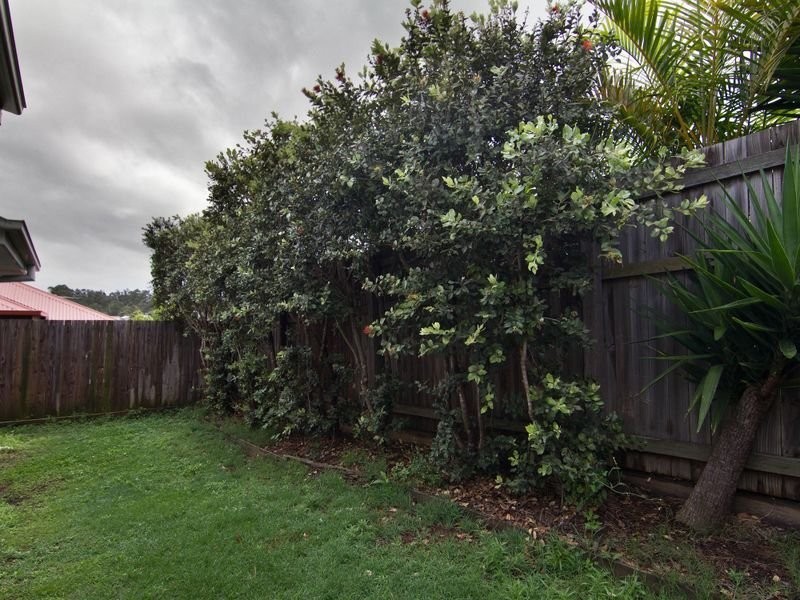 9 Jasper Way, Springfield QLD 4300