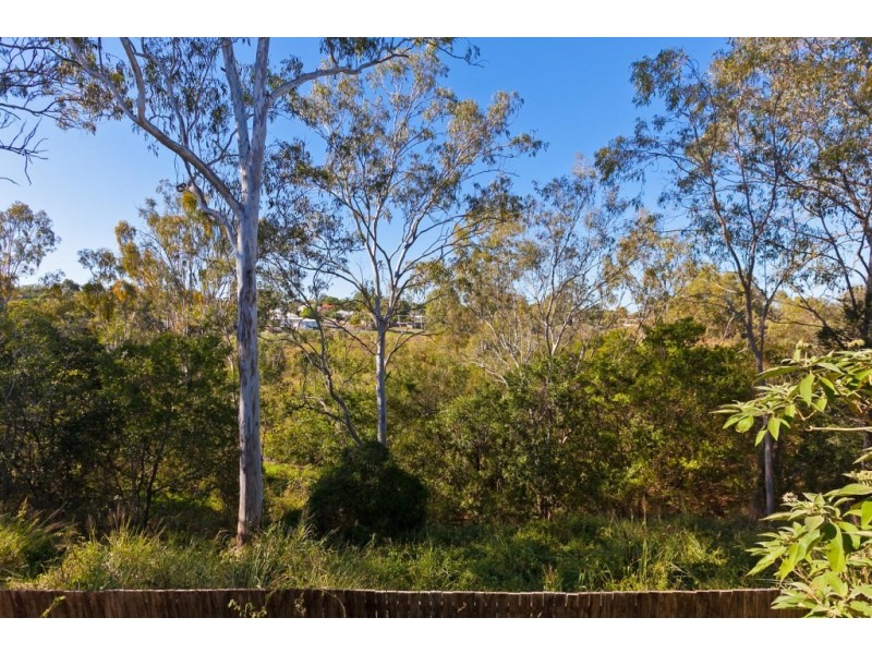 41 Palma Rosa Dr, Wulkuraka QLD 4305