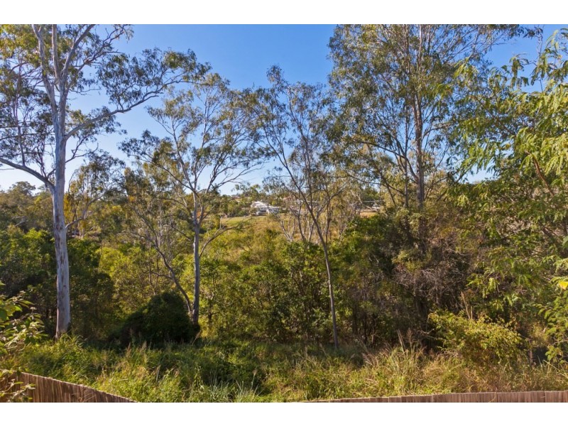 41 Palma Rosa Dr, Wulkuraka QLD 4305