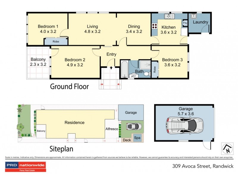 309 Avoca Street, Randwick NSW 2031 Floorplan