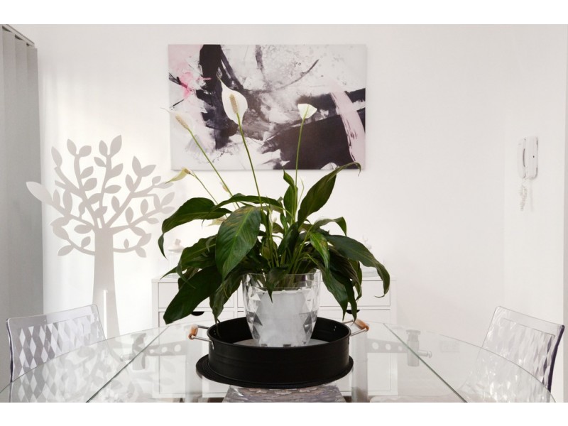 12/552 Bunnerong Rd, Matraville NSW 2036