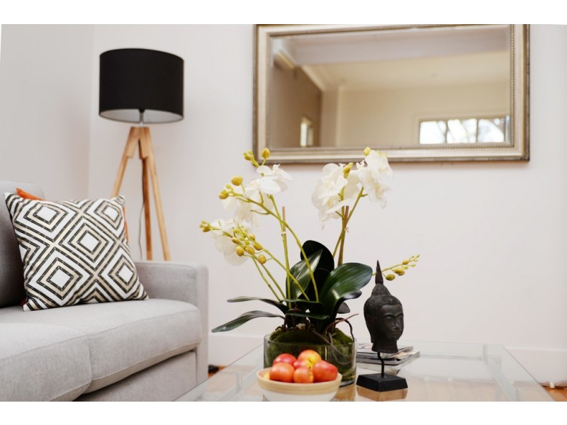 17 Wallace Street, Kingsford NSW 2032