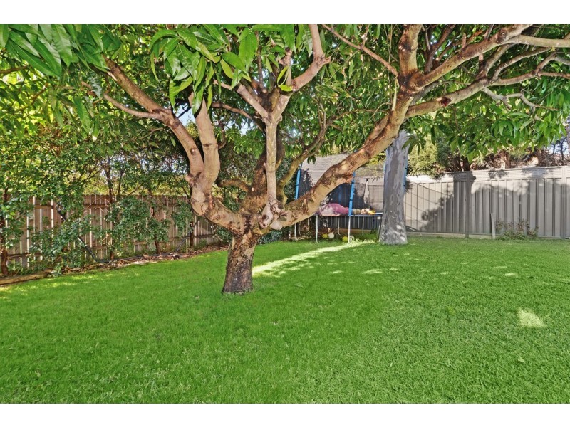 71 Harold Street, Matraville NSW 2036