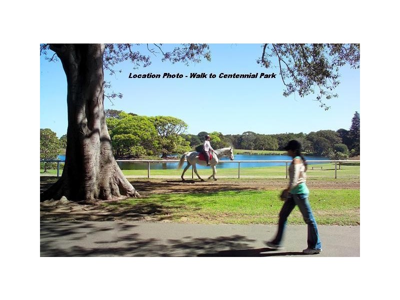 1/145 Anzac Parade, Kensington NSW 2033