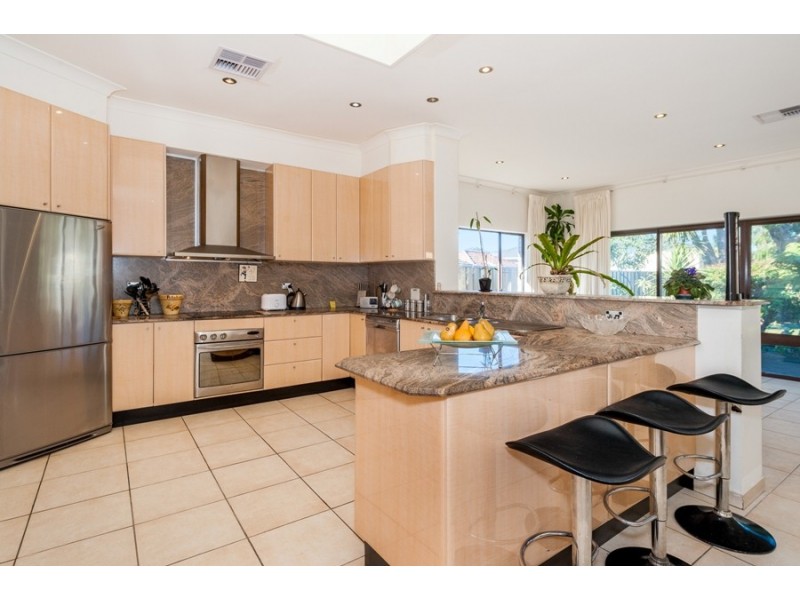 19 Eyre Street, Chifley NSW 2036