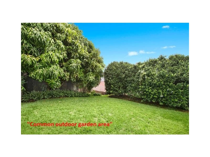 52 Carrington Road, Randwick NSW 2031