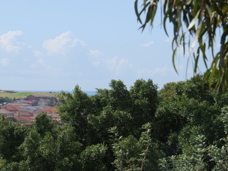 8/65 Birriga Road, Bellevue Hill NSW 2023