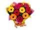 Paddington QLD 4064