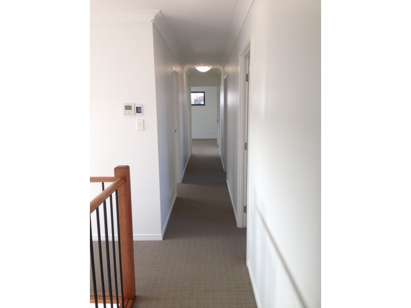 41 Lilley Street, Hendra QLD 4011