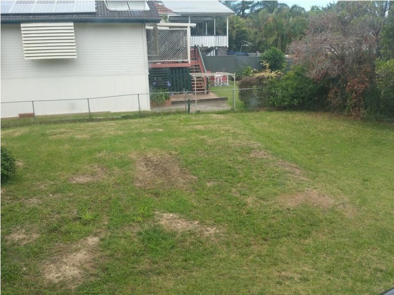 4 Fitzroy Street, Clayfield QLD 4011