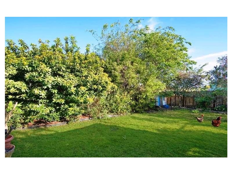 49 Twelfth Avenue, Kedron QLD 4031