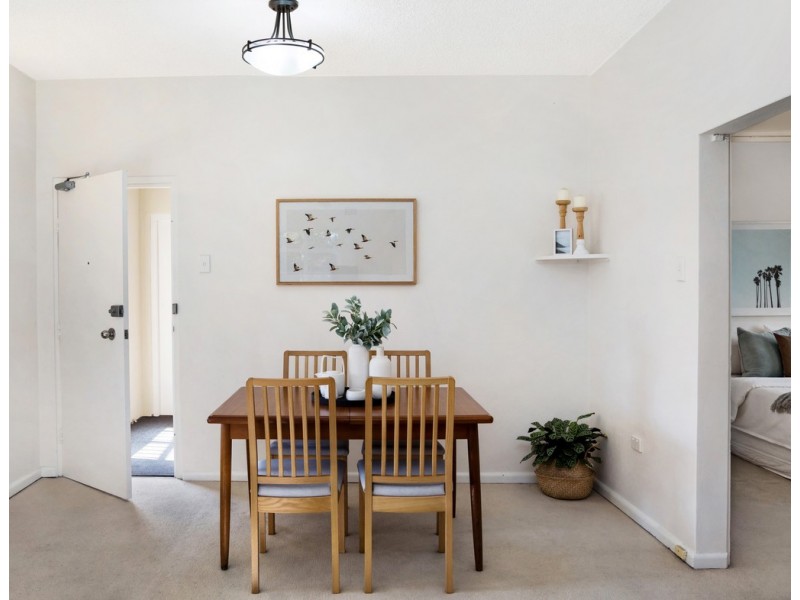 1/8 Albert Parade, Ashfield NSW 2131