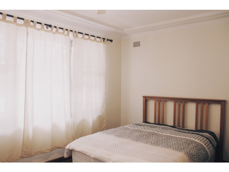 87 Buffalo Road, Gladesville NSW 2111