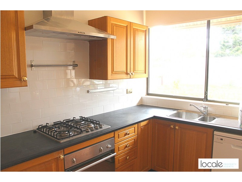 29 Walker Avenue, Haberfield NSW 2045