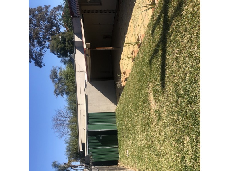 29 Walker Avenue, Haberfield NSW 2045