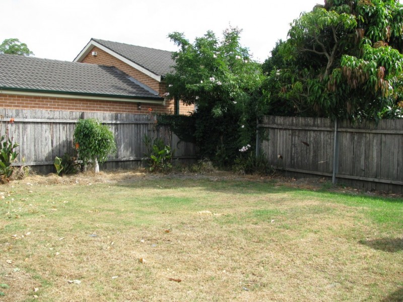 17 Knocklayde Street, Ashfield NSW 2131