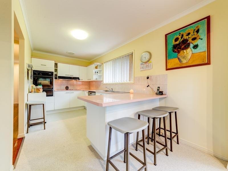 16 Trood Street, Macgregor QLD 4109