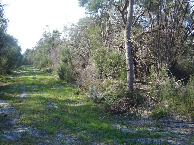 Lot 801 Robinson, Wandi WA 6167