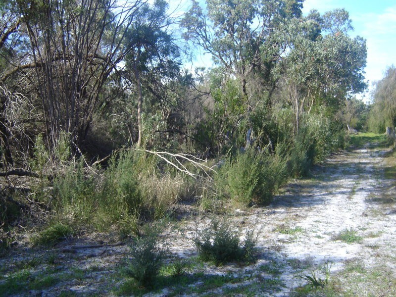 Lot 801 Robinson, Wandi WA 6167