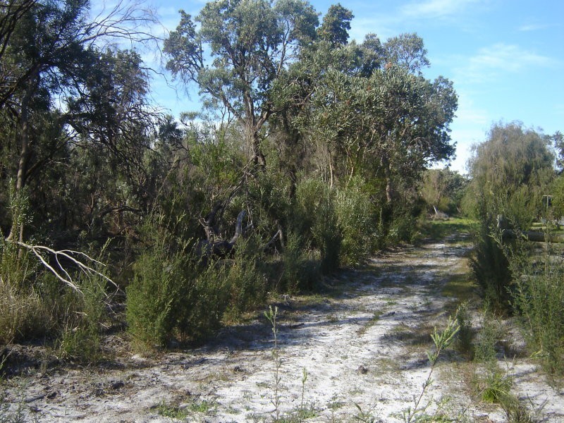 Lot 801 Robinson, Wandi WA 6167