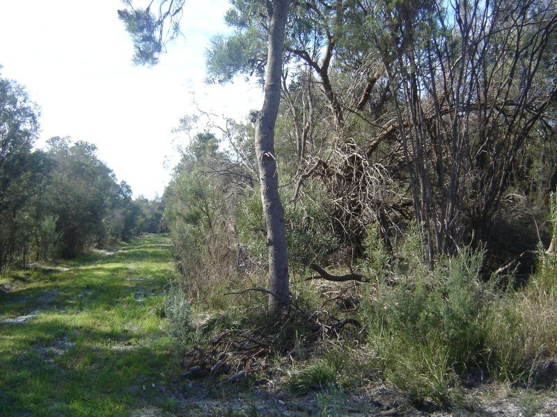 Lot 801 Robinson, Wandi WA 6167