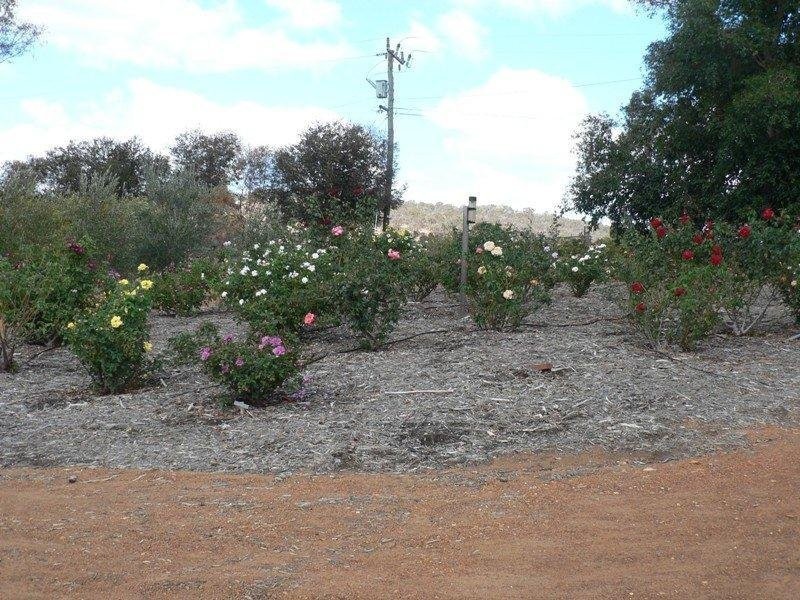 36 Hart Drive, Chittering WA 6084