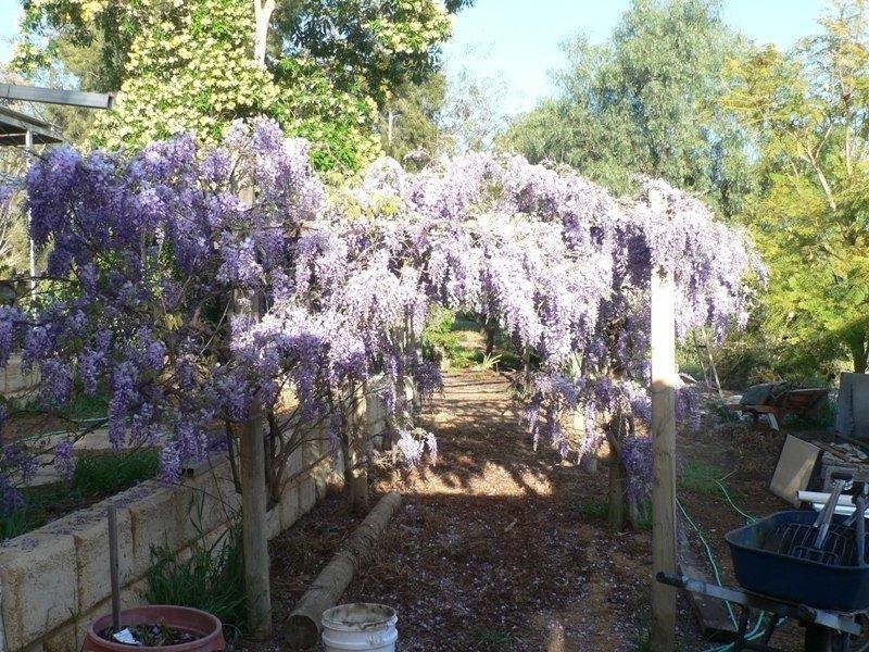 36 Hart Drive, Chittering WA 6084