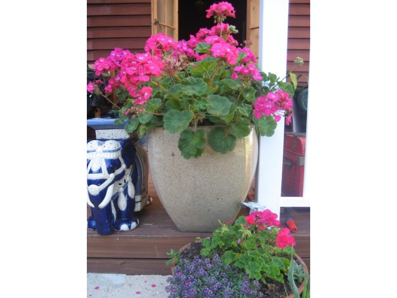 44 Delisle, Balingup WA 6253