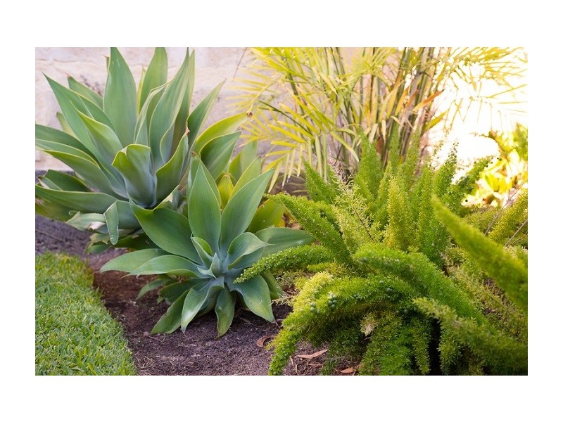 65a Rome Road, Melville WA 6156