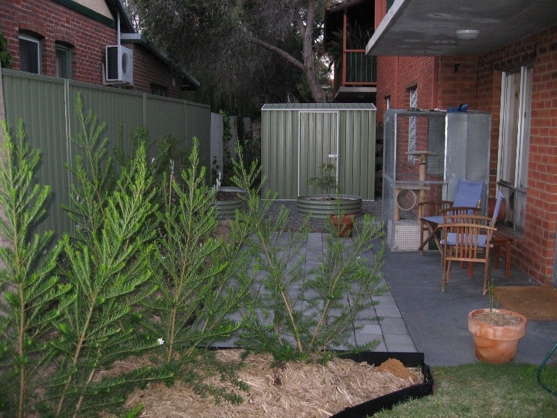 1/74 Sixth Avenue, Maylands WA 6051