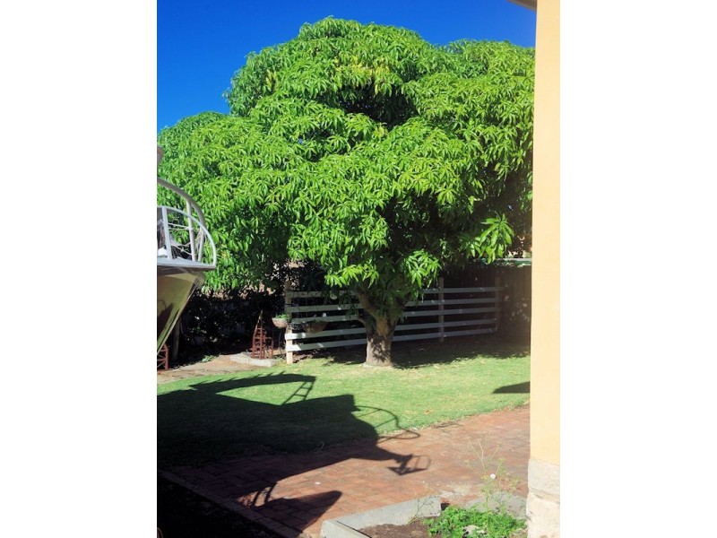 91 Stevens Street, White Gum Valley WA 6162