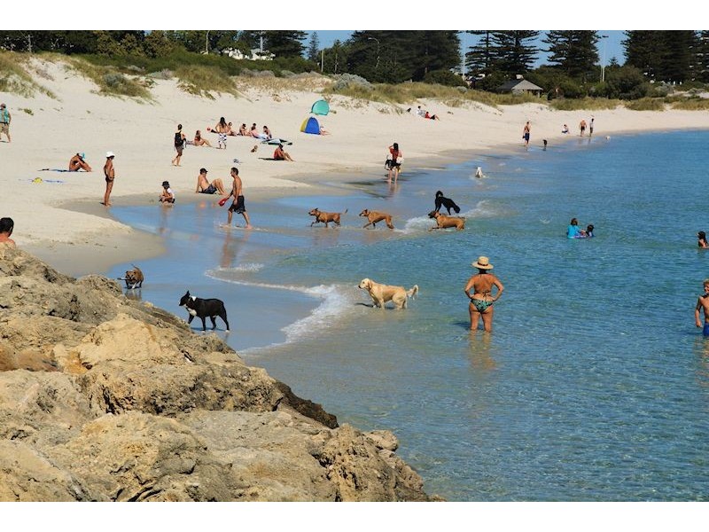 91 Stevens Street, White Gum Valley WA 6162