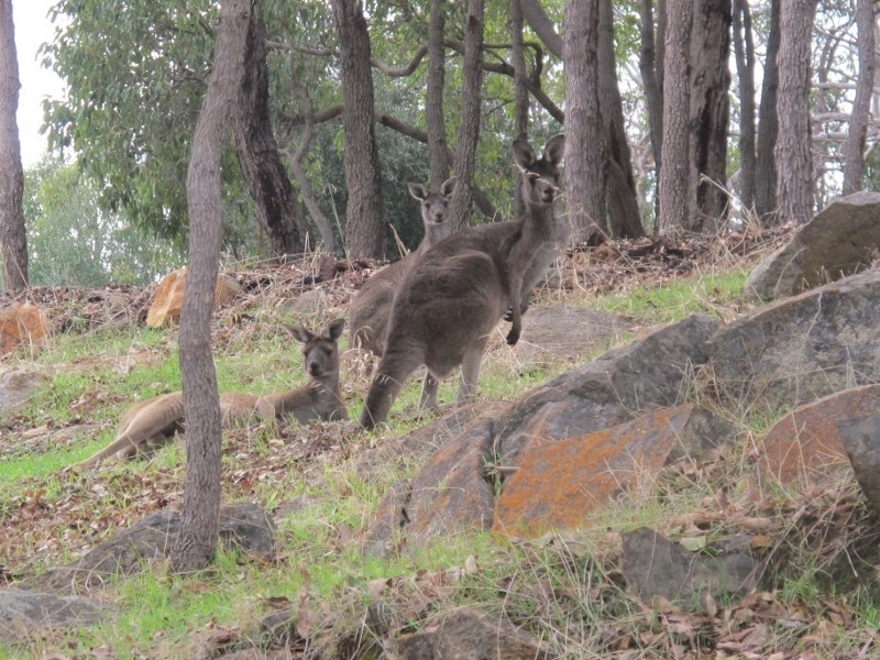 16 Summit View, Mount Richon WA 6112