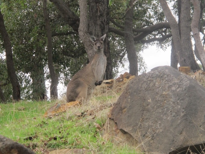 16 Summit View, Mount Richon WA 6112