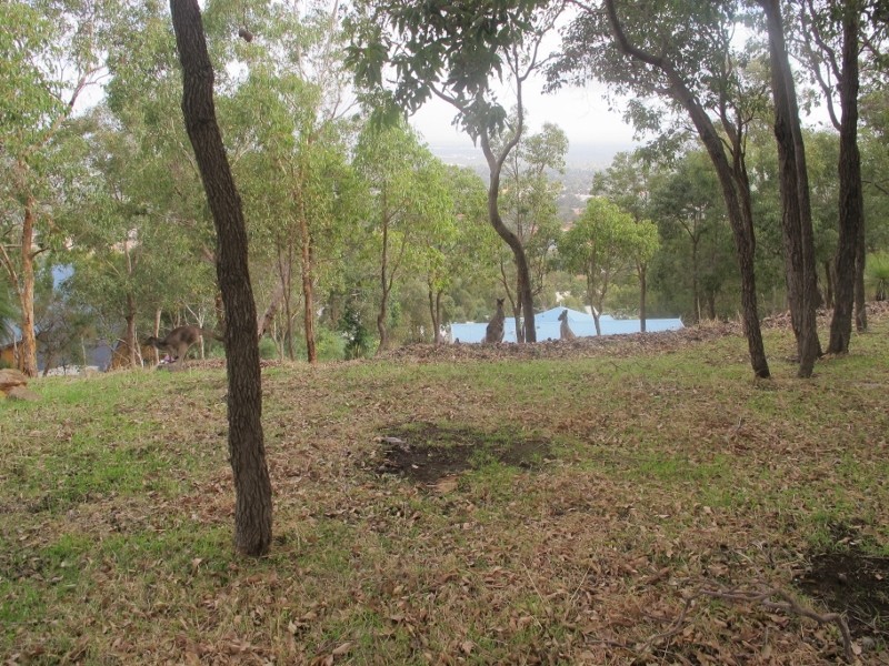 16 Summit View, Mount Richon WA 6112