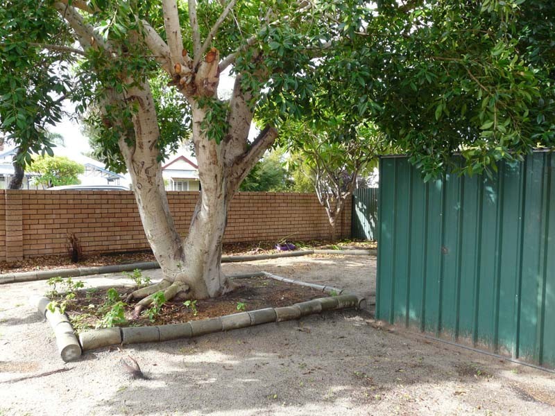 51 Beatty Avenue, East Victoria Park WA 6101