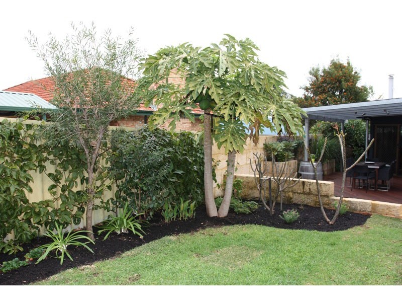 30 MULLINGS WAY, Myaree WA 6154