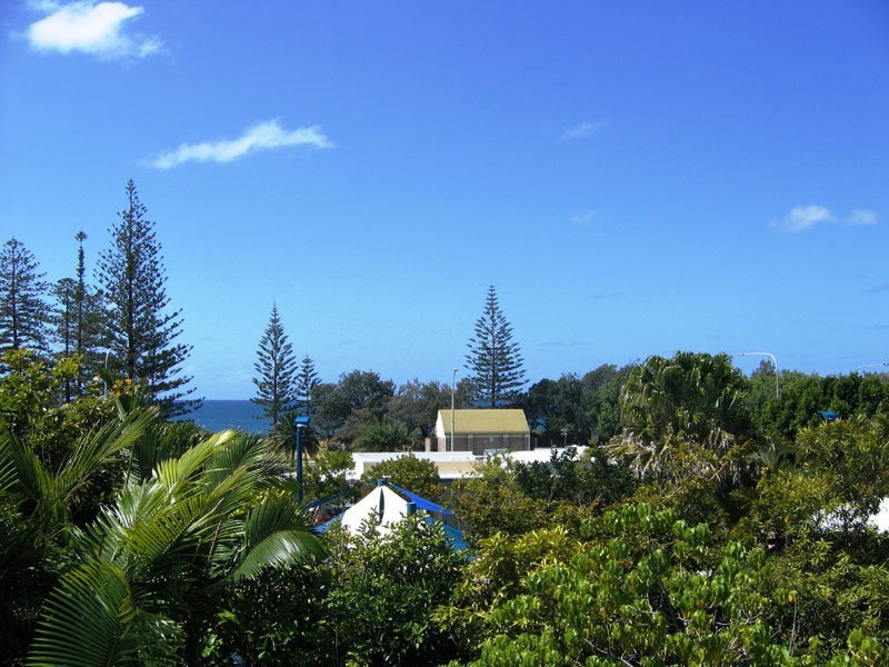 331/180 Alexandra Parade (Alex Beach Resort), Alexandra Headland QLD 4572