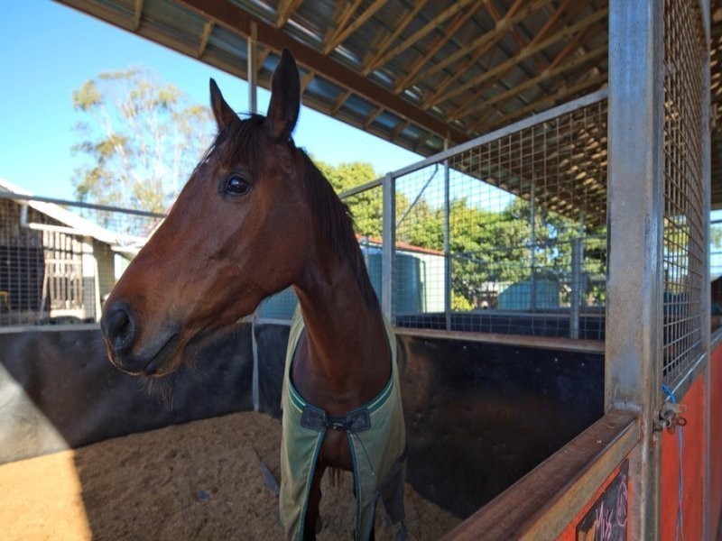 72 Sheahans Road, Yandina QLD 4561