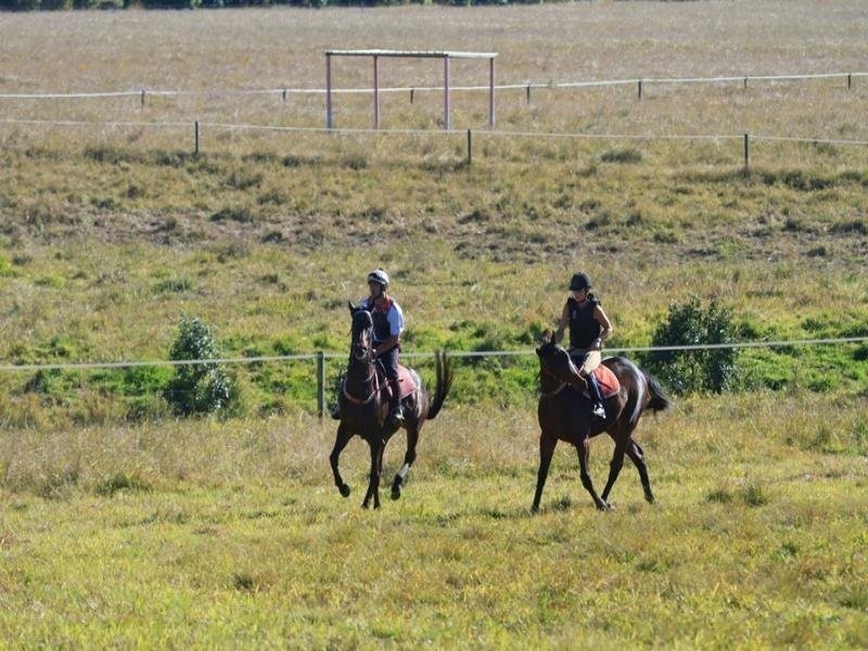 72 Sheahans Road, Yandina QLD 4561