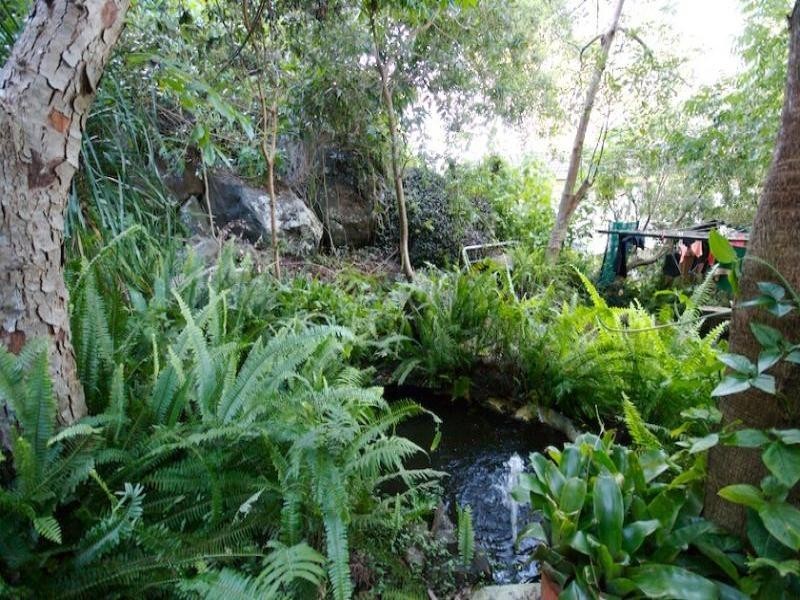 17 Parle Crescent, Buderim QLD 4556