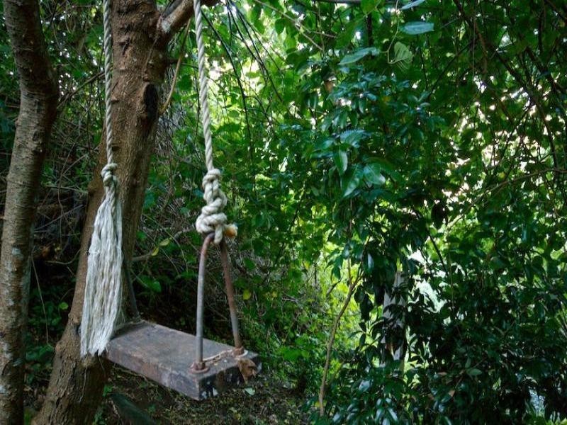 17 Parle Crescent, Buderim QLD 4556