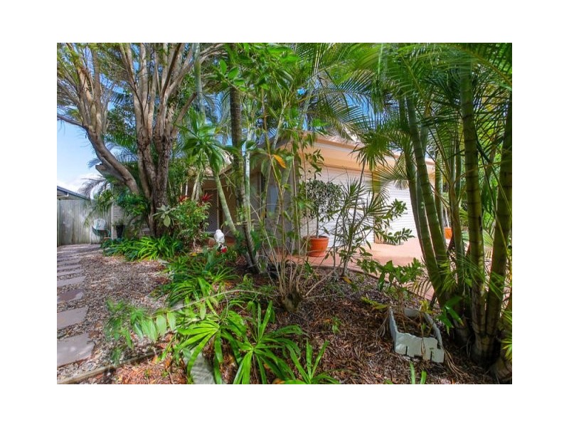 6 Honeymyrtle Court, Mountain Creek QLD 4557